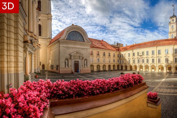 Vilniaus Universitetas | Go Vilnius