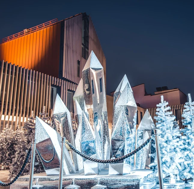 Das Geheimnis des Weihnachtsbaums von Vilnius