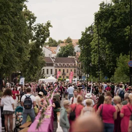 Vilniaus šaltibarščių festivalis vėl užlies sostinę rožine banga: prie šventės kviečia jungtis partnerius